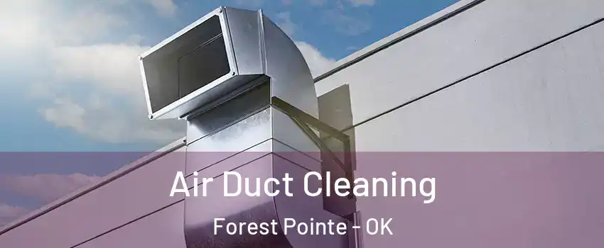 Air Duct Cleaning Forest Pointe - OK