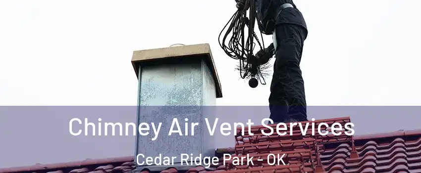 Chimney Air Vent Services Cedar Ridge Park - OK