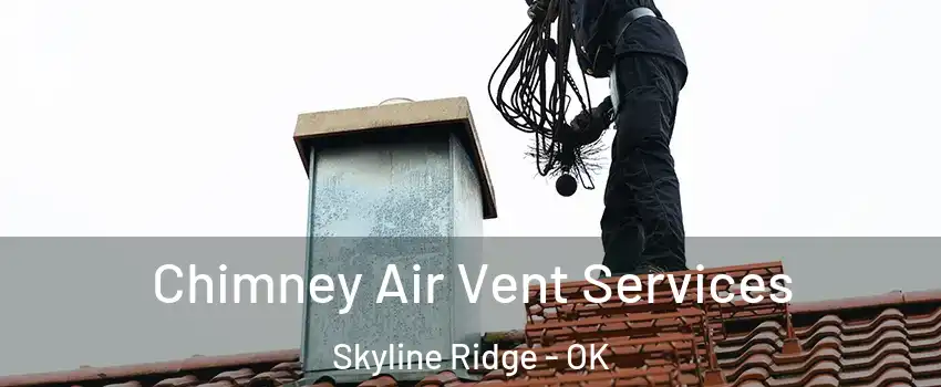 Chimney Air Vent Services Skyline Ridge - OK