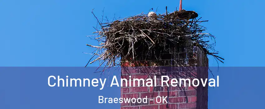 Chimney Animal Removal Braeswood - OK