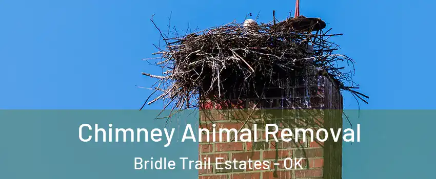 Chimney Animal Removal Bridle Trail Estates - OK