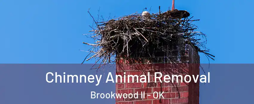 Chimney Animal Removal Brookwood II - OK