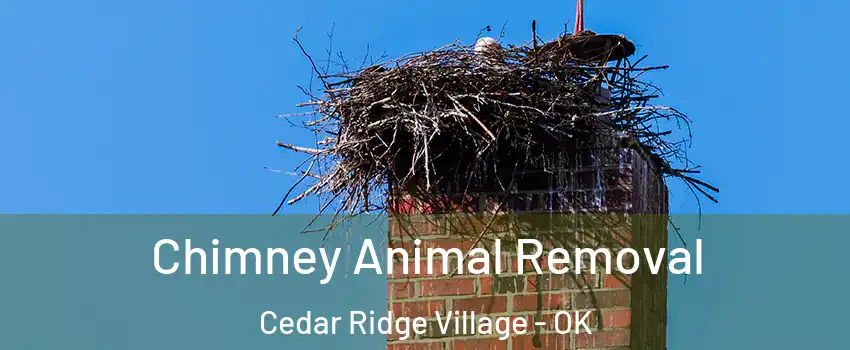 Chimney Animal Removal Cedar Ridge Village - OK