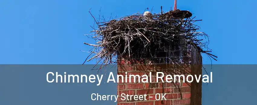 Chimney Animal Removal Cherry Street - OK