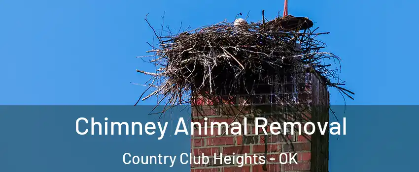 Chimney Animal Removal Country Club Heights - OK