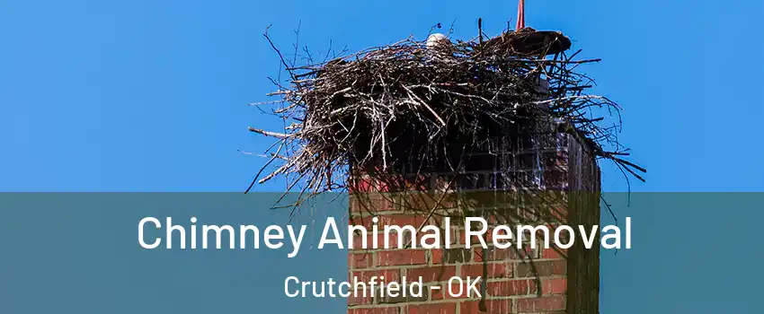 Chimney Animal Removal Crutchfield - OK