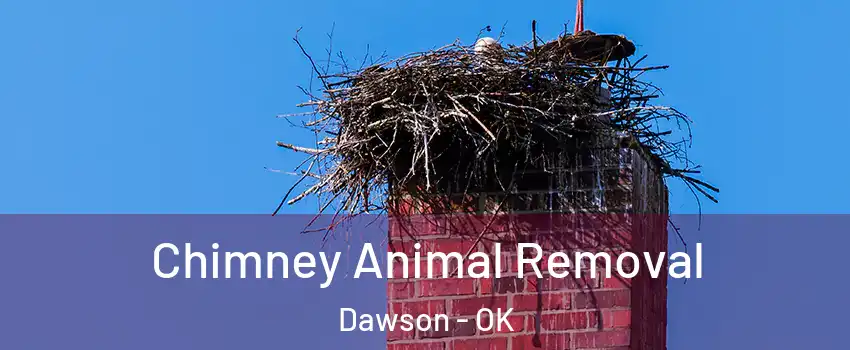 Chimney Animal Removal Dawson - OK