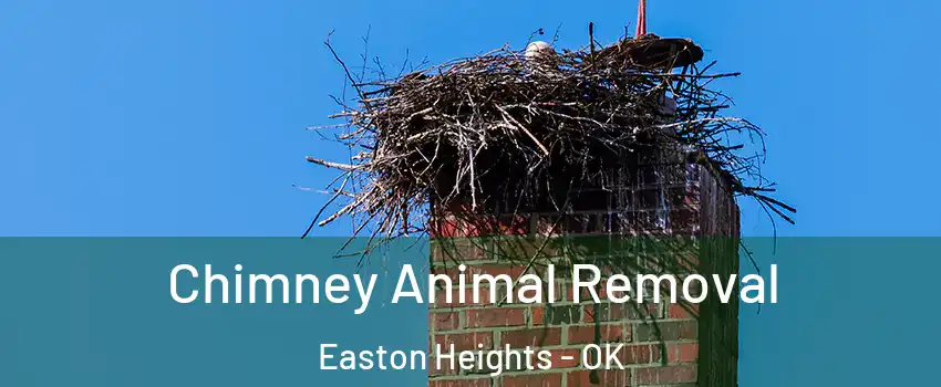 Chimney Animal Removal Easton Heights - OK