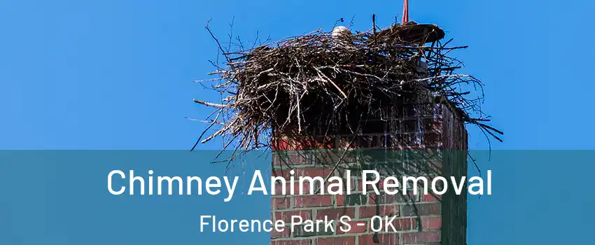 Chimney Animal Removal Florence Park S - OK