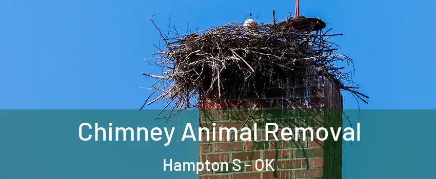 Chimney Animal Removal Hampton S - OK