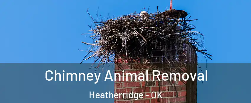 Chimney Animal Removal Heatherridge - OK