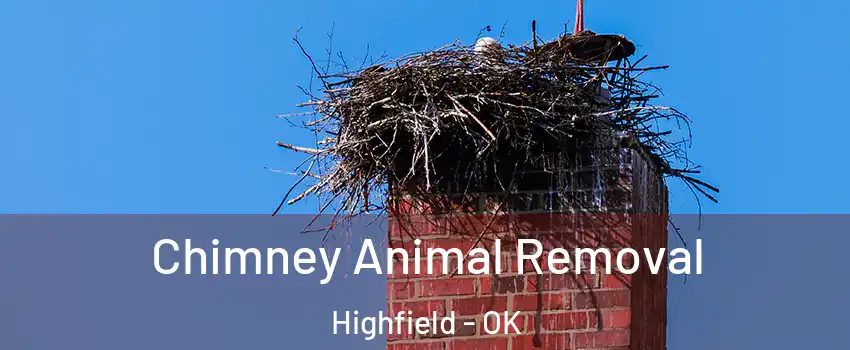 Chimney Animal Removal Highfield - OK