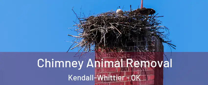 Chimney Animal Removal Kendall-Whittier - OK