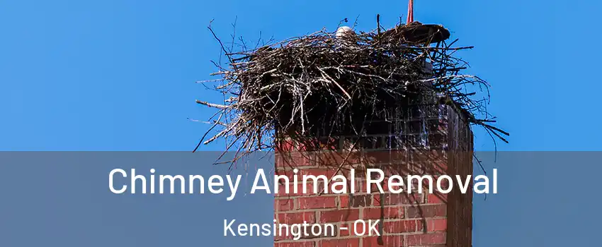 Chimney Animal Removal Kensington - OK