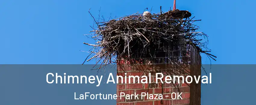 Chimney Animal Removal LaFortune Park Plaza - OK