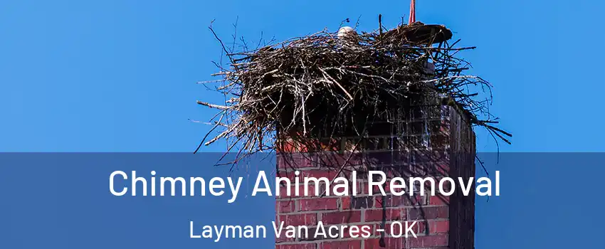 Chimney Animal Removal Layman Van Acres - OK