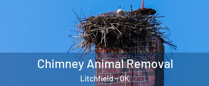 Chimney Animal Removal Litchfield - OK