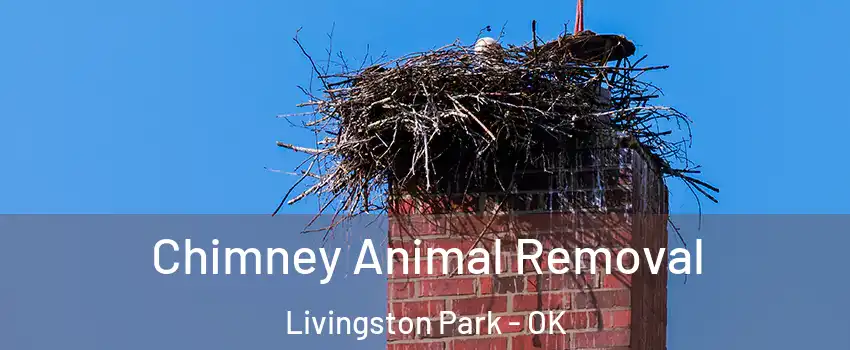 Chimney Animal Removal Livingston Park - OK