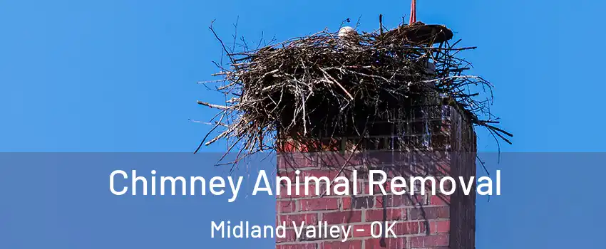 Chimney Animal Removal Midland Valley - OK