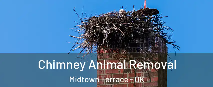 Chimney Animal Removal Midtown Terrace - OK
