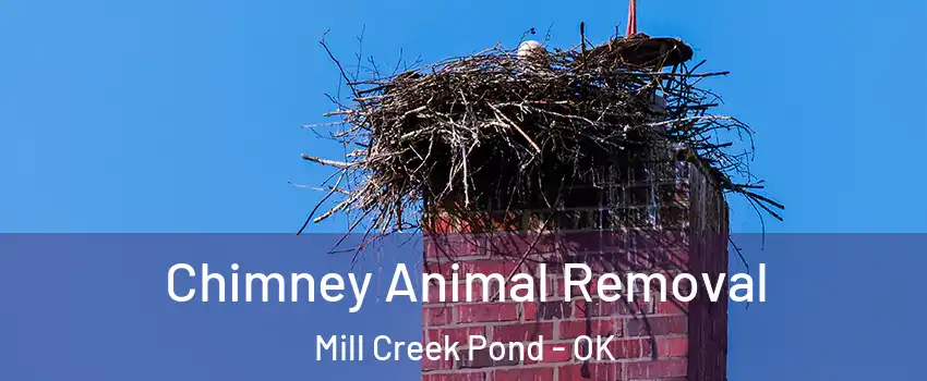 Chimney Animal Removal Mill Creek Pond - OK