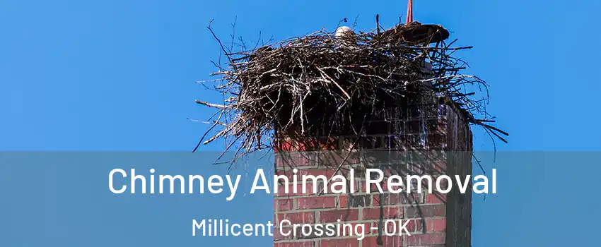 Chimney Animal Removal Millicent Crossing - OK