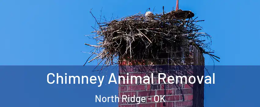 Chimney Animal Removal North Ridge - OK