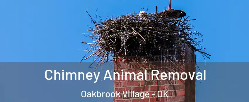 Chimney Animal Removal Oakbrook Village - OK