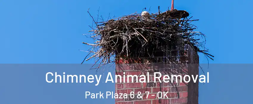 Chimney Animal Removal Park Plaza 6 & 7 - OK