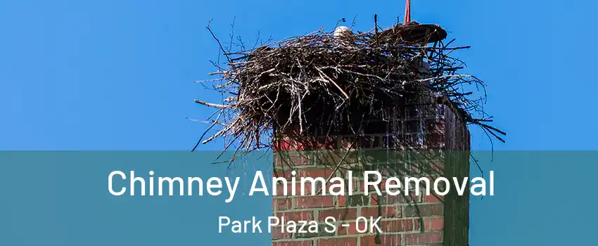 Chimney Animal Removal Park Plaza S - OK