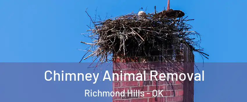 Chimney Animal Removal Richmond Hills - OK