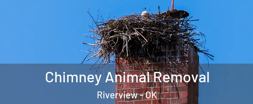 Chimney Animal Removal Riverview - OK