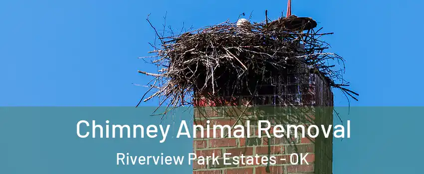 Chimney Animal Removal Riverview Park Estates - OK