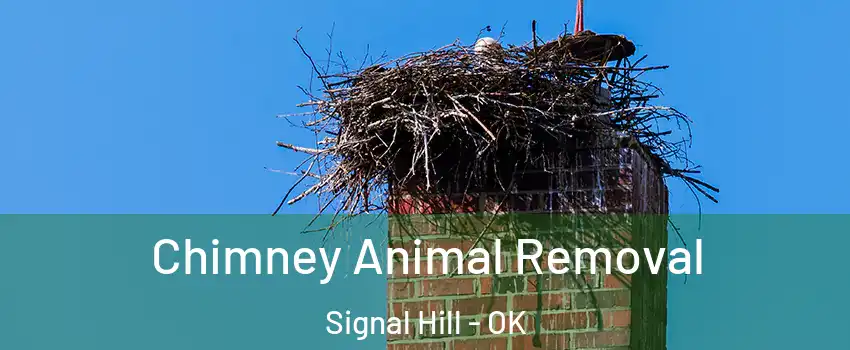 Chimney Animal Removal Signal Hill - OK