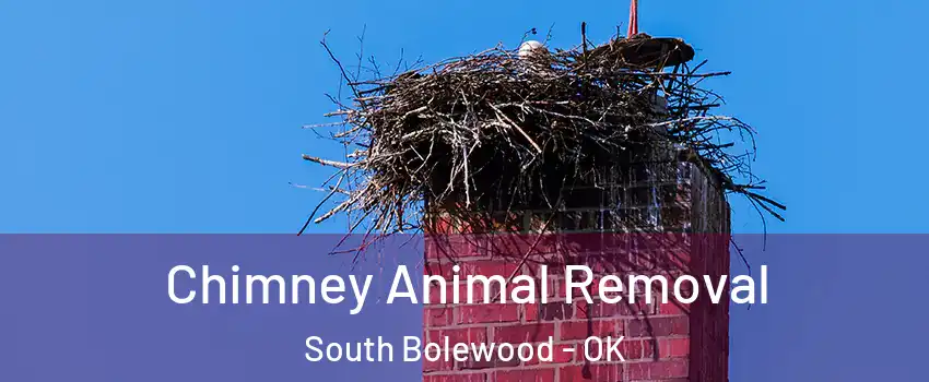 Chimney Animal Removal South Bolewood - OK