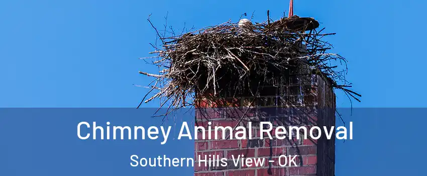 Chimney Animal Removal Southern Hills View - OK