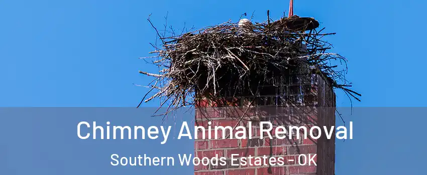 Chimney Animal Removal Southern Woods Estates - OK