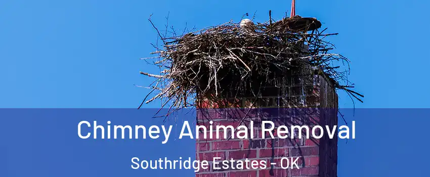 Chimney Animal Removal Southridge Estates - OK