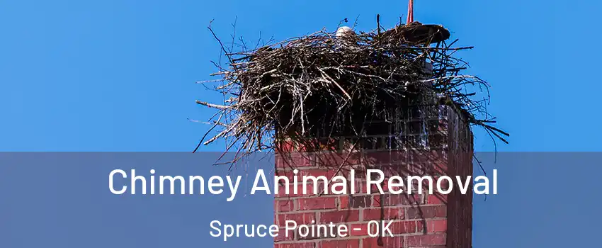 Chimney Animal Removal Spruce Pointe - OK