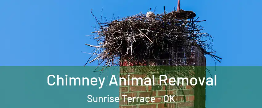 Chimney Animal Removal Sunrise Terrace - OK