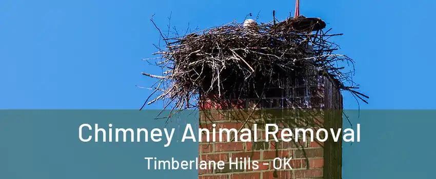 Chimney Animal Removal Timberlane Hills - OK