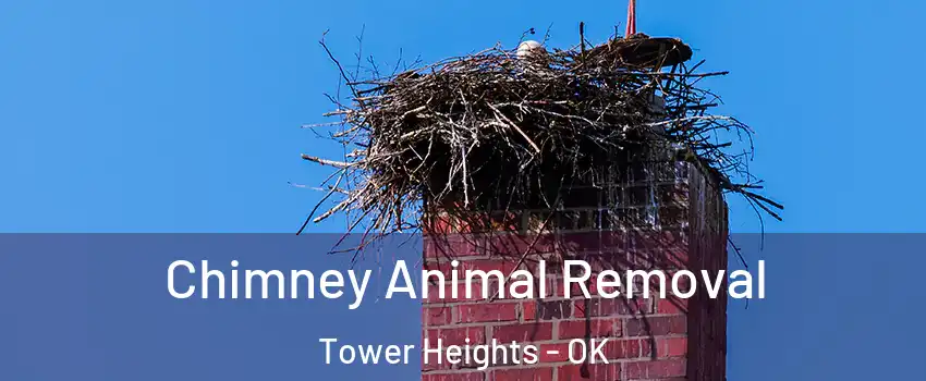 Chimney Animal Removal Tower Heights - OK