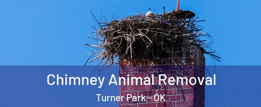Chimney Animal Removal Turner Park - OK