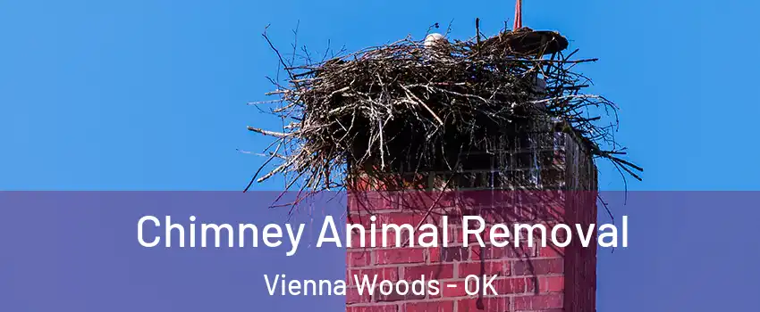 Chimney Animal Removal Vienna Woods - OK