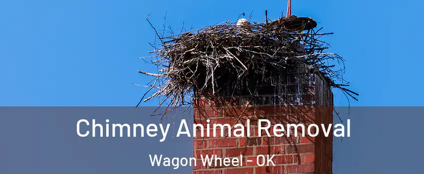 Chimney Animal Removal Wagon Wheel - OK