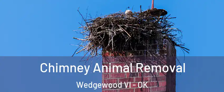 Chimney Animal Removal Wedgewood VI - OK
