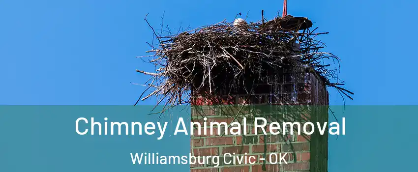 Chimney Animal Removal Williamsburg Civic - OK