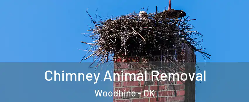 Chimney Animal Removal Woodbine - OK