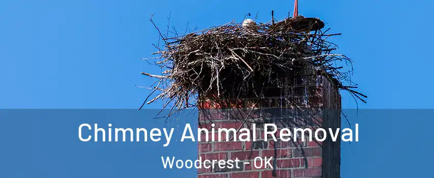 Chimney Animal Removal Woodcrest - OK