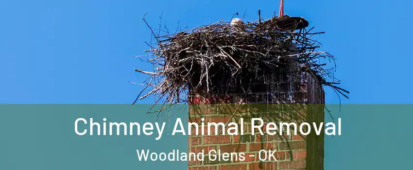 Chimney Animal Removal Woodland Glens - OK